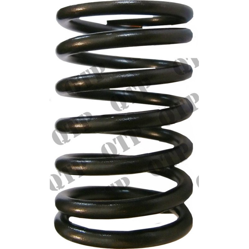 Ressort de soupape (Pack de 6)