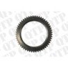 Clutch Plate