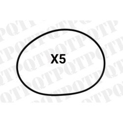O-Ring (Pack de 5)