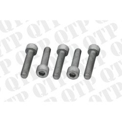 Exhaust Elbow Bolt (Pack de 5)