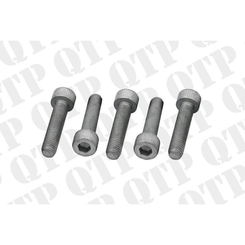 Exhaust Elbow Bolt (Pack de 5)
